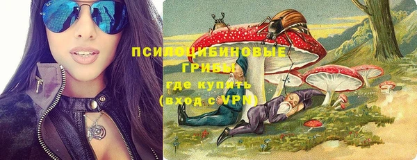СК Дмитриев