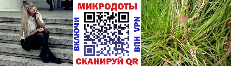 Псилоцибиновые грибы MAGIC MUSHROOMS  нарко площадка клад  Липки  закладка 